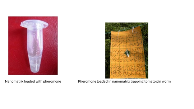 pheromone dispensers for farmers